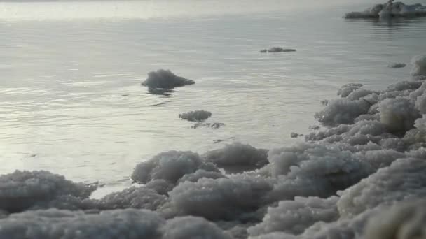 Côte de la mer Morte — Video