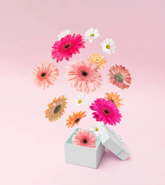 Цветные Весенние Цветы Вырывающиеся Подарочной Коробки Розовом Фоне Лицензионные Стоковые Изображения