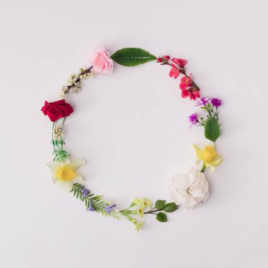 Beyaz arkaplandaki çiçek, yaprak ve dallardan oluşan bir daire..