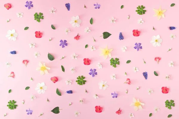 Scattered Colorful Flowers Leaves Pink Background — Stock Photo, Image