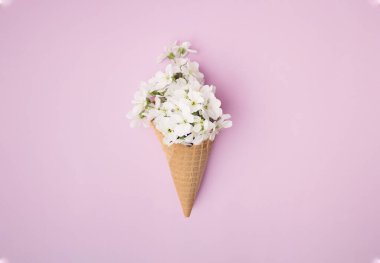 Kahverengi bir külahta beyaz kiraz çiçeği. Pembe arkaplan.