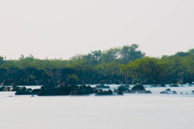 Kaya ve yeşil mangrov bitkilerinin yüzdüğü ipek deniz suyu manzarası