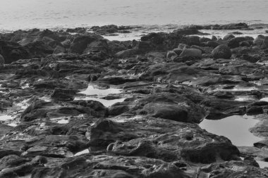 Mumbai sahilinde deniz seviyesinin düşük dalgası resmi. Siyah kayalar ve tuzlu suyla birlikte.