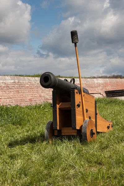 Старі гармати — стокове фото