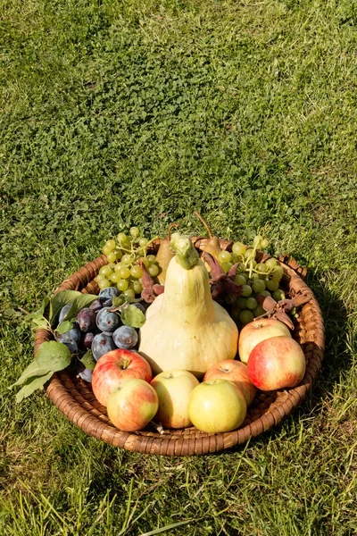 Meyve ile hasır tepsi