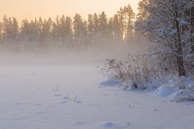 Ahşap kar altında donmuş kış gölde