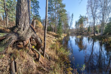 Nehirde güneş hava sonbahar ahşap