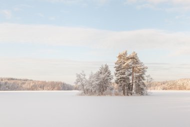 donmuş kış göl adada. 