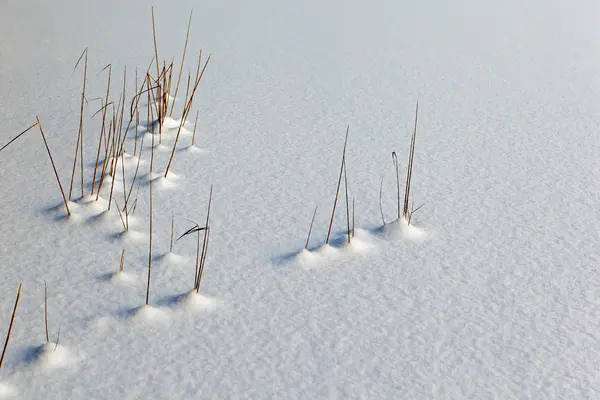 Zmrazené zimní jezero v lese pod sněhem — Stock fotografie
