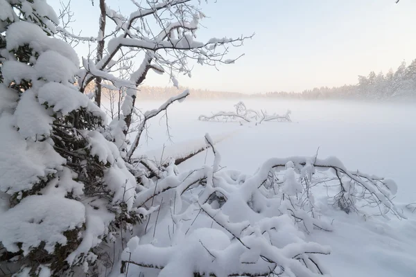 O lago de inverno congelado em madeira abaixo da neve — Fotografia de Stock