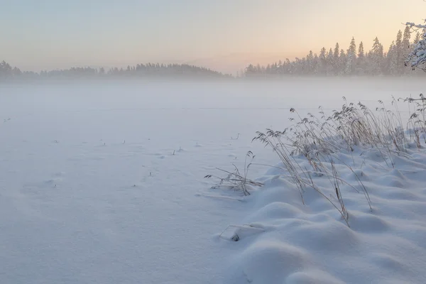 Le lac d'hiver gelé dans le bois sous la neige — Photo