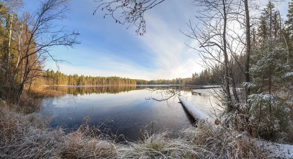 Bois d'automne par temps solaire — Photo