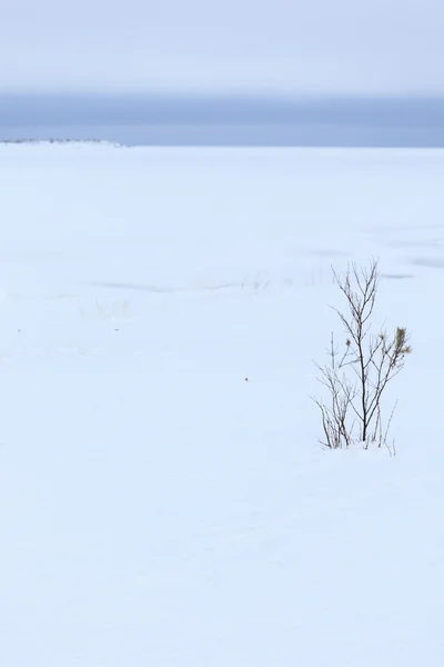 Costa di neve del mare invernale. Sfondo naturale — Foto Stock