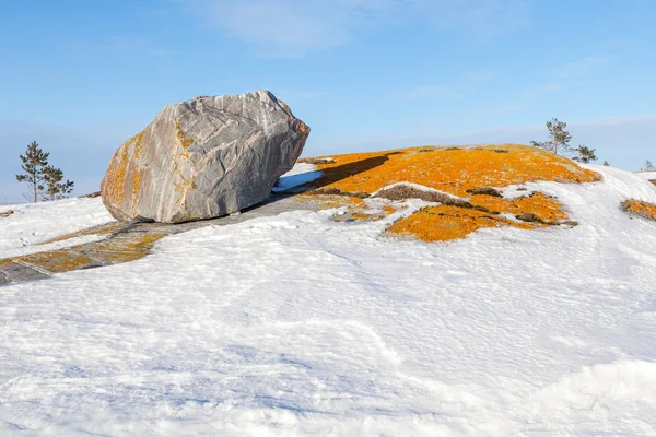 Η μεγάλη πέτρα και πορτοκαλί moss στην ακτή χιόνι το χειμώνα θάλασσα ΒΑ — Φωτογραφία Αρχείου