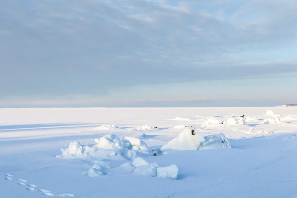 Ghiaccio e hummocks sulla riva del mare d'inverno. Schienale naturale — Foto Stock