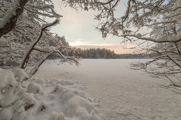 Lago de madera de invierno — Foto de Stock