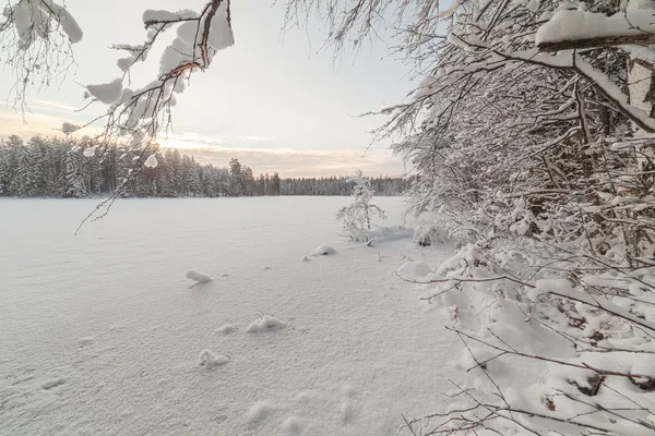 Lago de madera de invierno — Foto de Stock