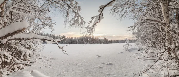 Zimní dřevo jezero — Stock fotografie