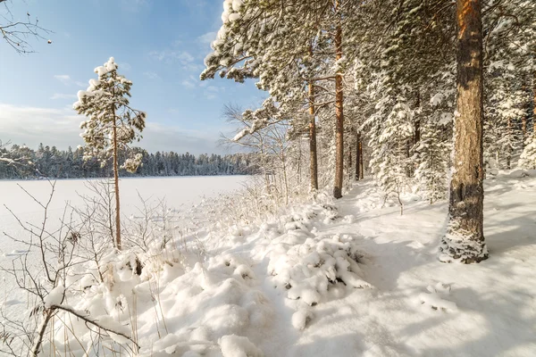 Inverno lago de madeira — Fotografia de Stock