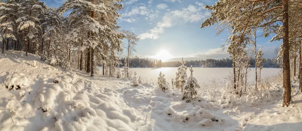 Zimní dřevo jezero — Stock fotografie