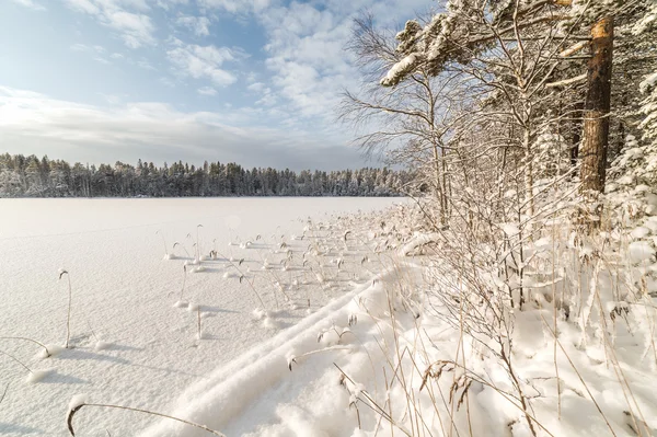 Lago di legno invernale — Foto Stock