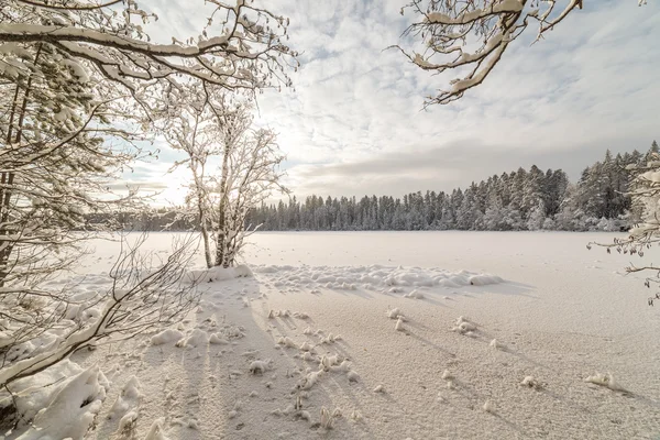 Lago di legno invernale — Foto Stock