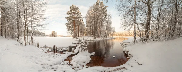 Lac de bois d'hiver — Photo