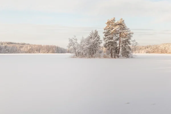 Остров на замерзшем зимнем озере . — стоковое фото