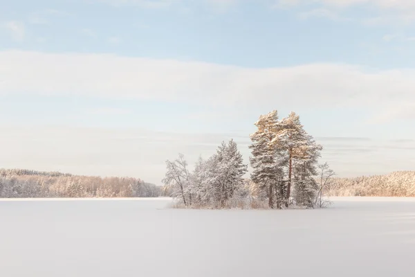donmuş kış göl adada. 