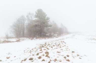ahşap bir sisli kış alan adada. 