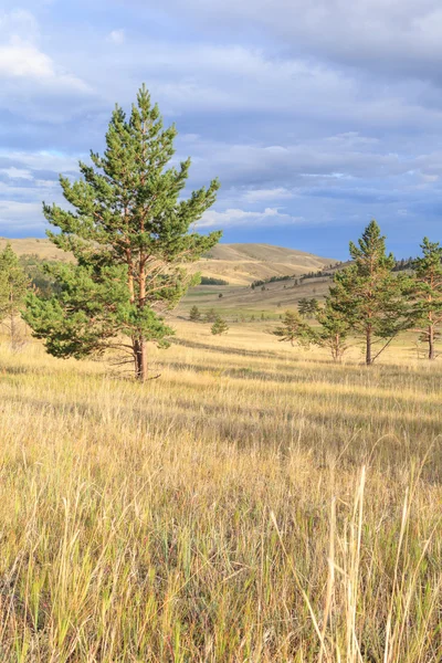 Tepelik bozkır, Baykal Gölü kıyısında.