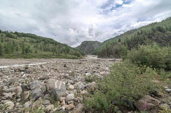 Gebirgsfluss. — Stockfoto