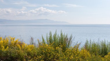 Baykal Gölü kıyısında.. 