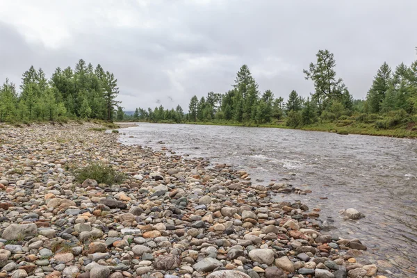 Steiniges Flussufer — Stockfoto