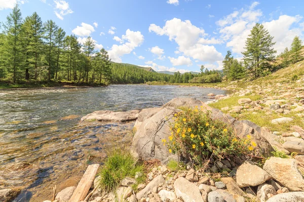 Der Bergfluss. — Stockfoto