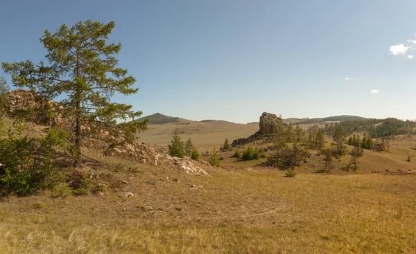 Larver i en fjelldal. Øst-Sayan-fjellene . – stockfoto