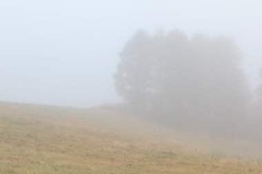 Sis sonbahar bir alan üzerinde