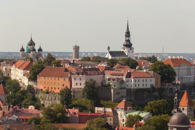 Tallinn. Bir tarz kilise Oliviste eski bir şehirden üzerinde
