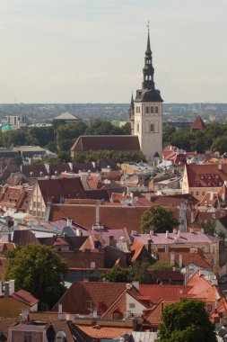 Tallinn. Bir tarz kilise Oliviste eski bir şehirden üzerinde