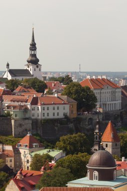 Tallinn. Bir tarz kilise Oliviste eski bir şehirden üzerinde