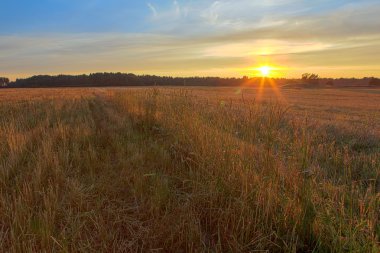 Günbatımı eğik bir alanın üzerinde. 