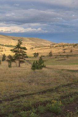 Bir ağaç eteklerinde güneş hava. 