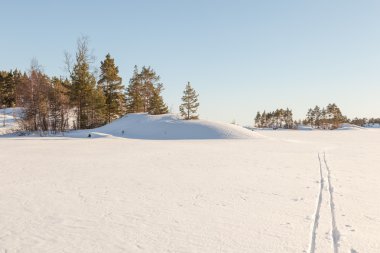 Kış, donmuş göl kıyısında.