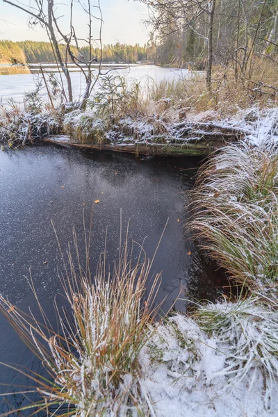 De eerste sneeuw in de herfst zonne-hout in lake — Stockfoto