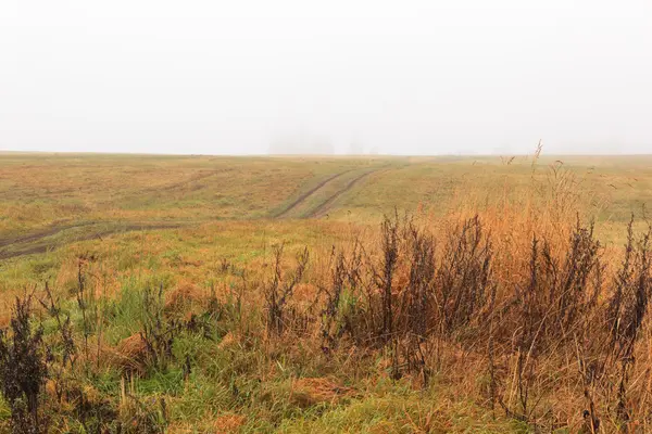 Herbstlandschaft. Nebel auf einem herbstlichen Feld. ein natürlicher Hintergrund — Stockfoto