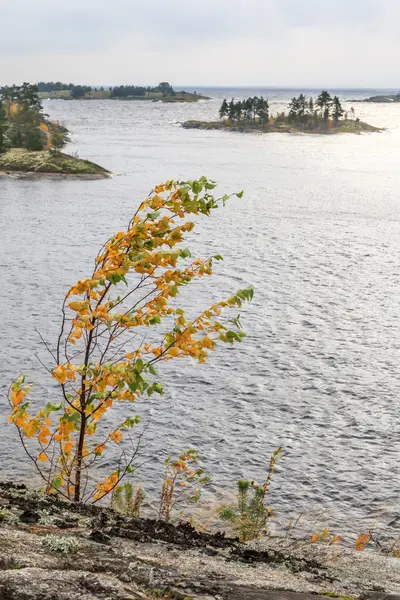 Felsige Küste des Herbstsees — Stockfoto