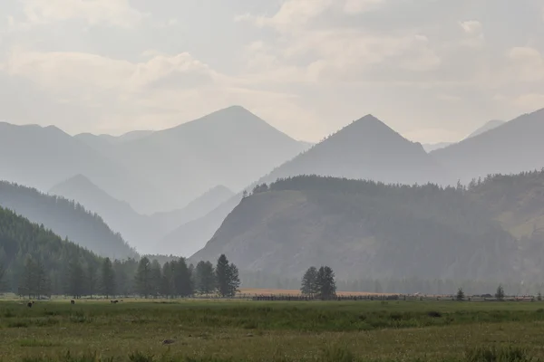 Mountains in a sunny day. East Sayan mountains. — Stock Photo, Image