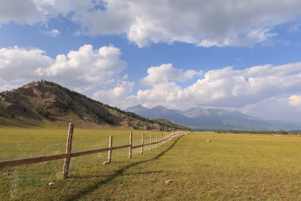 Cerca para vacas e iaques em montanhas . — Fotografia de Stock