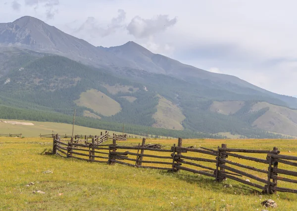 Cerca para vacas e iaques em montanhas . — Fotografia de Stock