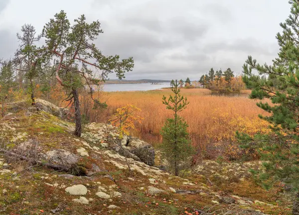 Skaliste wybrzeże jeziora jesienią — Zdjęcie stockowe
